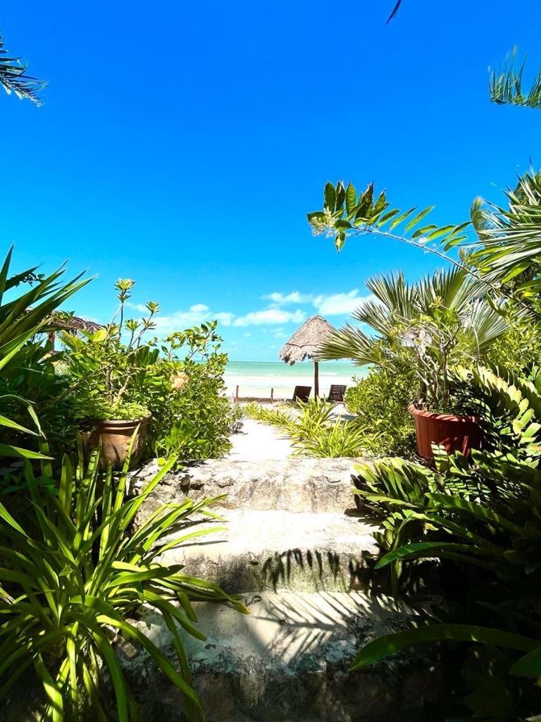 Casa Tom Tom - Adults Only Bed and Breakfast Isla Holbox Buitenkant foto
